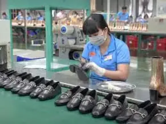 Tin tức