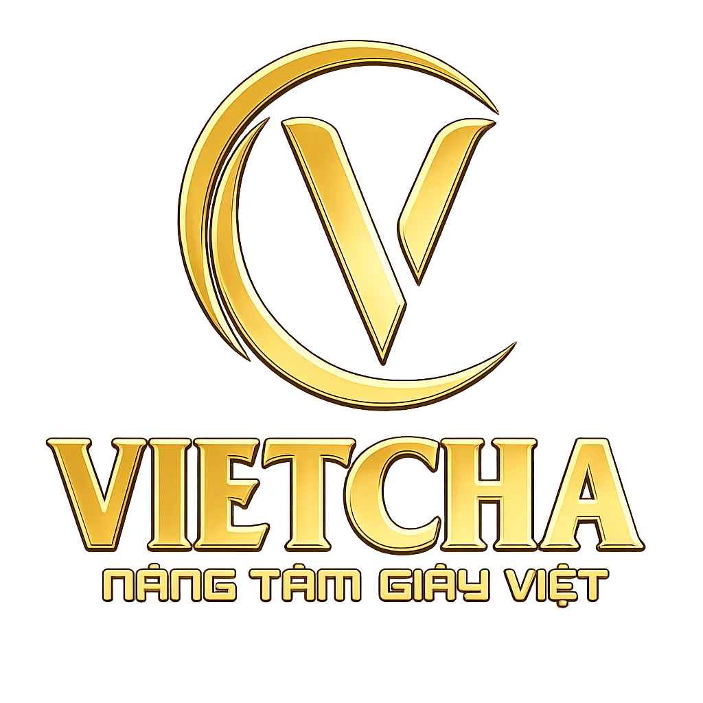 CÔNG TY TNHH VIETSING FASHION HUB